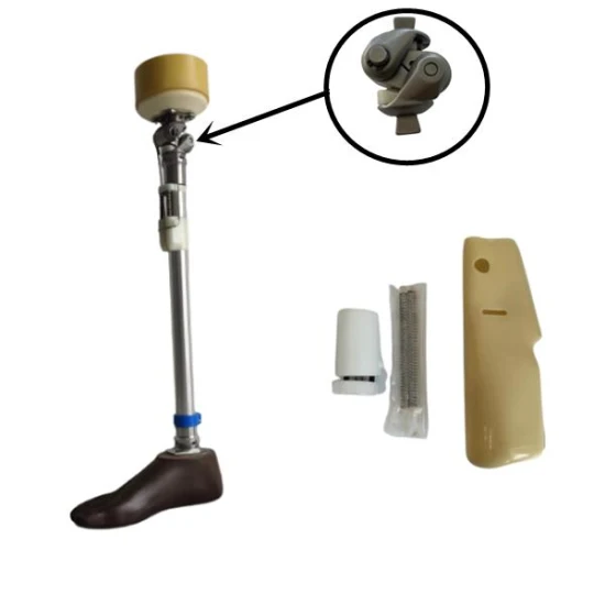 Prosthetic Knee Stainless Steel/Titanium Bearing Lock Knee Joint