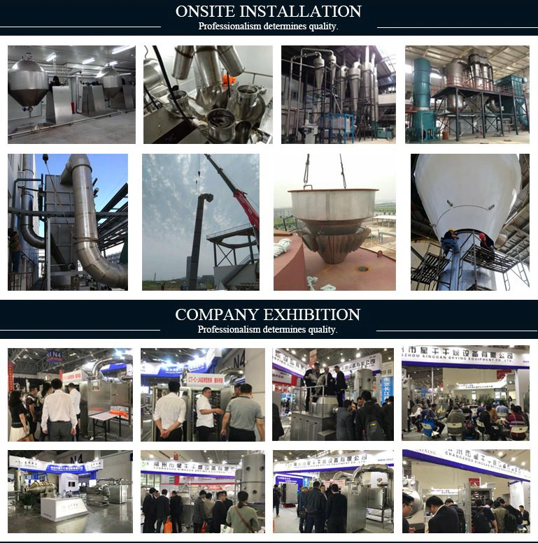Belt Dryer/Spray/Vacuum/Fluid Bed /Fluidizing/Spin Flash/Disc/Plate/Paddle/Rotary Drum /Disc /Freezing/Dryer Drying Machinery Manufacturer