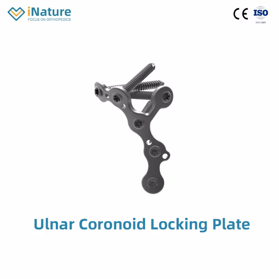 Elbow Joint Pure Titanium Fracture Bone Fixation in Locking Plate