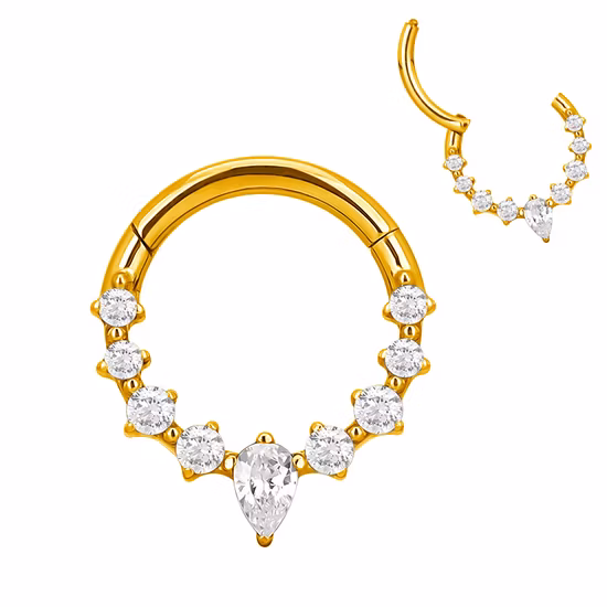 ASTM F136 Titanium Hoop Body Piercing Hinged Segment Ring